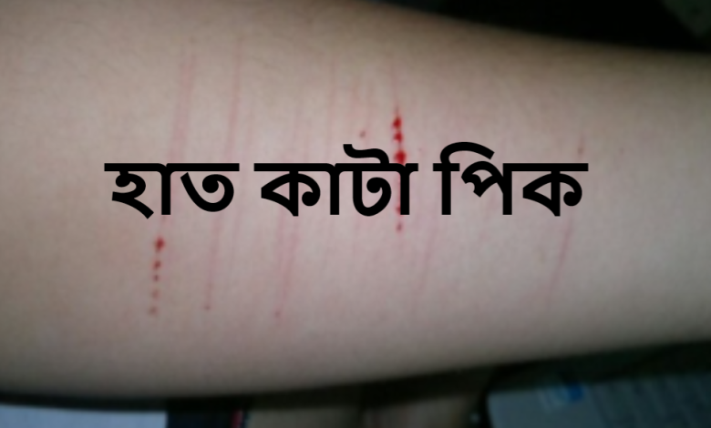 হাত কাটা পিক